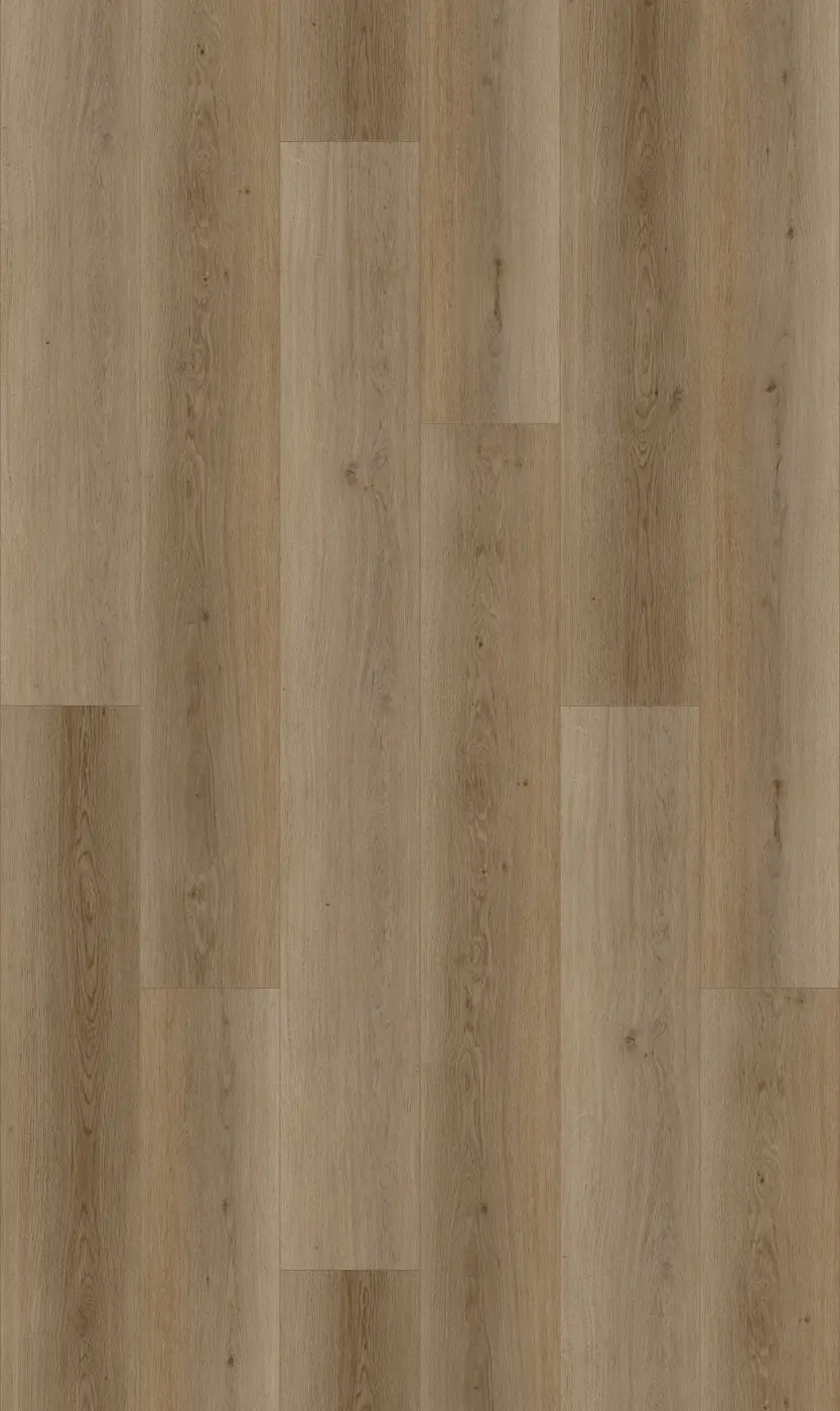Warm Natural detail visual 2