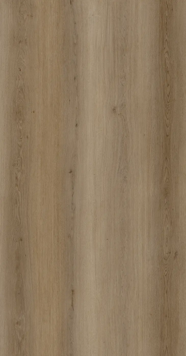 Warm Natural surface visual