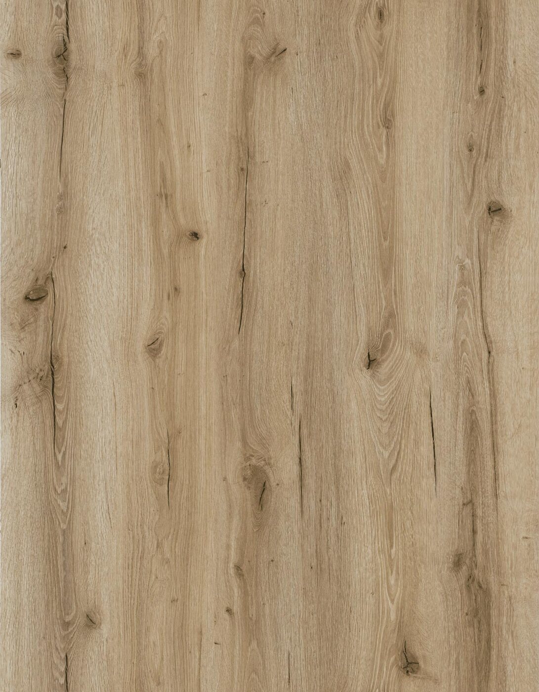 400 Series collection visual