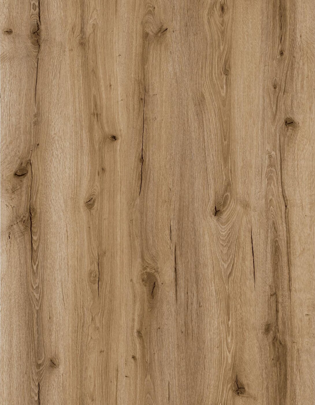 Yard Oak surface visual